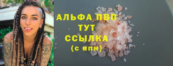 прущие грибы Верхнеуральск