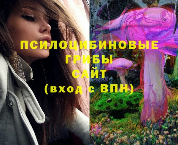 дмт Покровск