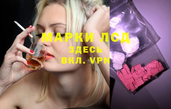 мяу мяу мука Верея